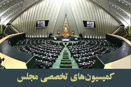 بررسی پیامدهای امنیتی سهام عدالت در دستور کار کمیسیون‌های تخصصی مجلس
