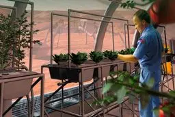 اولین گلخانه فضایی تا سال ۲۰۲۳ به بهره برداری می رسد