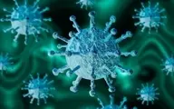 نقش سلول‌های T در محافظت از بیماران مبتلا به سرطان در برابر کروناویروس