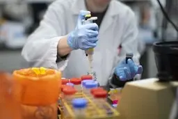 محققان کرونا  |  40 درصد مبتلایان به کرونا هیچ نشانه ای ندارند