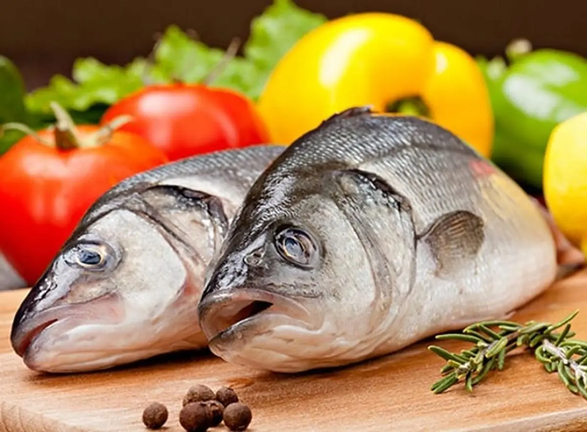 خواص عجیب ماهی قزل آلا | نکات مهم در هنگام خرید ماهی قزل آلا