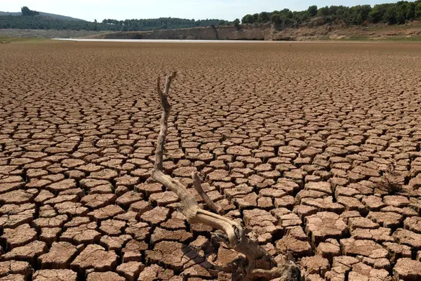 بدترین خشکسالی‌های جهان چه پیامدهایی داشته‌اند؟ | جشن تولد بیابان