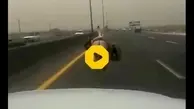 سرعت عجیب یک خر در خط سبقت اتوبان تهران - ساوه + ویدئو