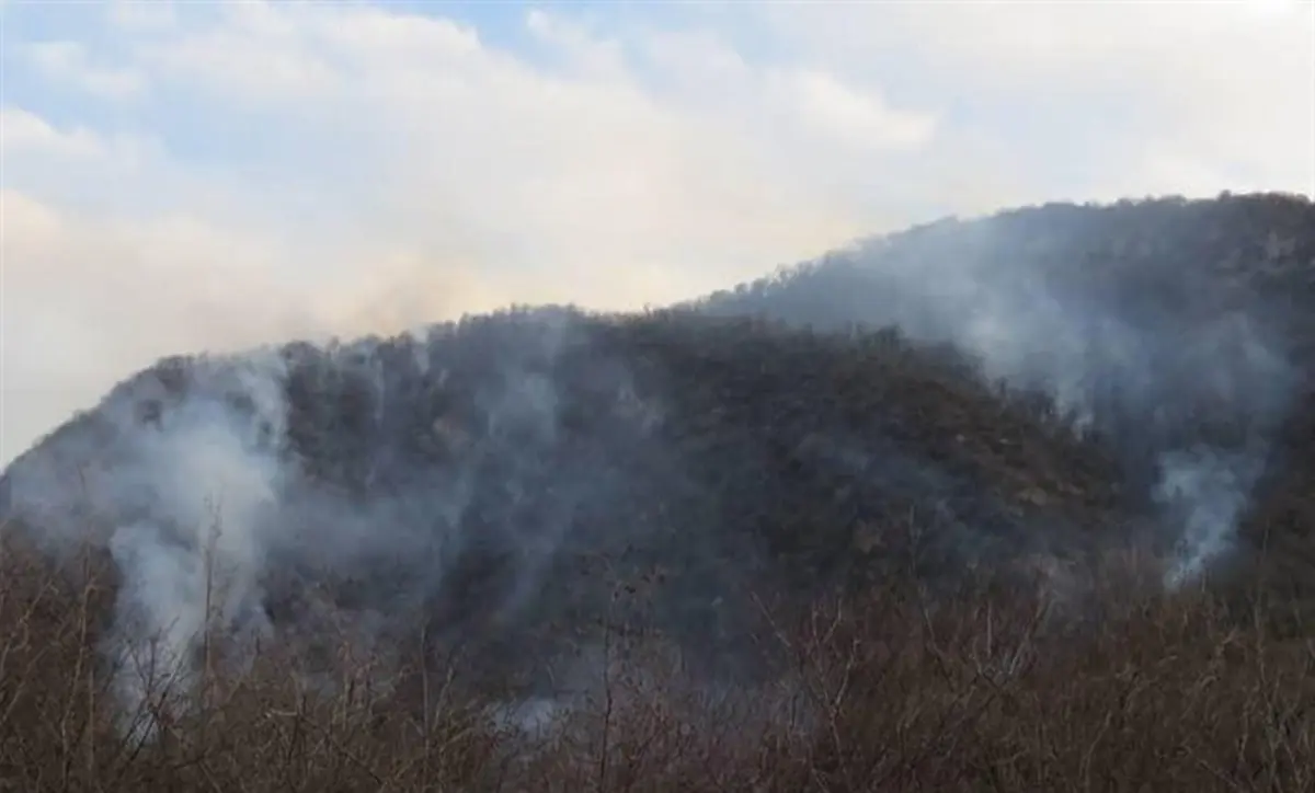 آتش در پارک ملی گلستان دوباره شعله‌ور شد | محیط زیست: اطفای حریق با بالگرد‌ ادامه دارد | ۱۰۰ نفر به منطقه اعزام شده‌اند | از روز ۲۴ آذرماه ۵ آتش سوزی اتفاق افتاد که ۴ مورد آن به طور کامل خاموش شد