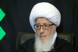
 آیت‌الله وحید خراسانی مراسم راهپیمایی روز شهادت حضرت فاطمه (س) را  لغو کرد