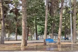 جلوی هدررفت آب در پارک‌ها را بگیرید | شهرداری‌ها همچنان آبیاری غیراصولی می‌کنند