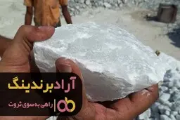 من به آسانی توانستم ثروتمند شوم