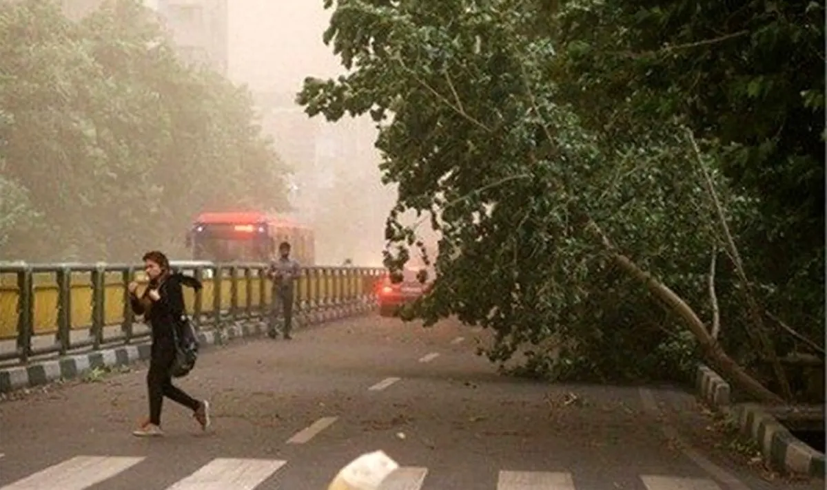 
وزش باد خیلی شدید در تهران | احتمال برخورد صاعقه و بارش تگرگ

