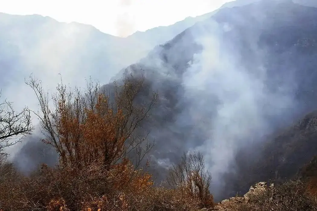 مدیرکل مدیریت بحران مازندان: گسترش دامنۀ آتش در جنگل‌های الیت متوقف شده؛ امیدواریم در چند روز آینده به طور کامل اطفا شود