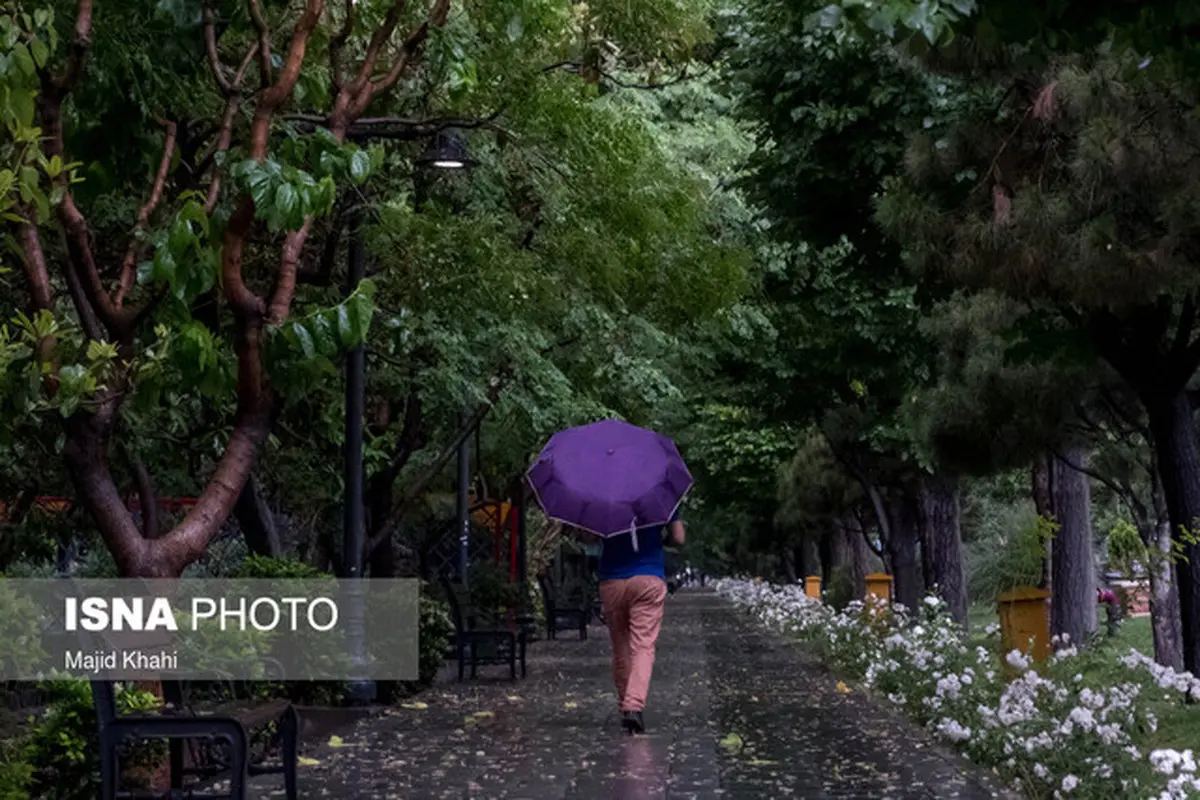 شهریار و شمیران رکورددار بارندگی ۲۴ ساعت گذشته در تهران