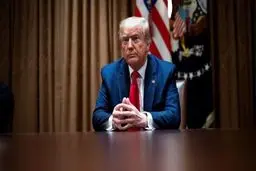 ترامپ در توئیتی معترضان در سیاتل را «تروریست‌های داخلی» نامیده بود.