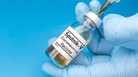 ادعای تازه درباره تولید واکسن اسپوتنیک در ایران: روسیه برای خود سهم قائل است 