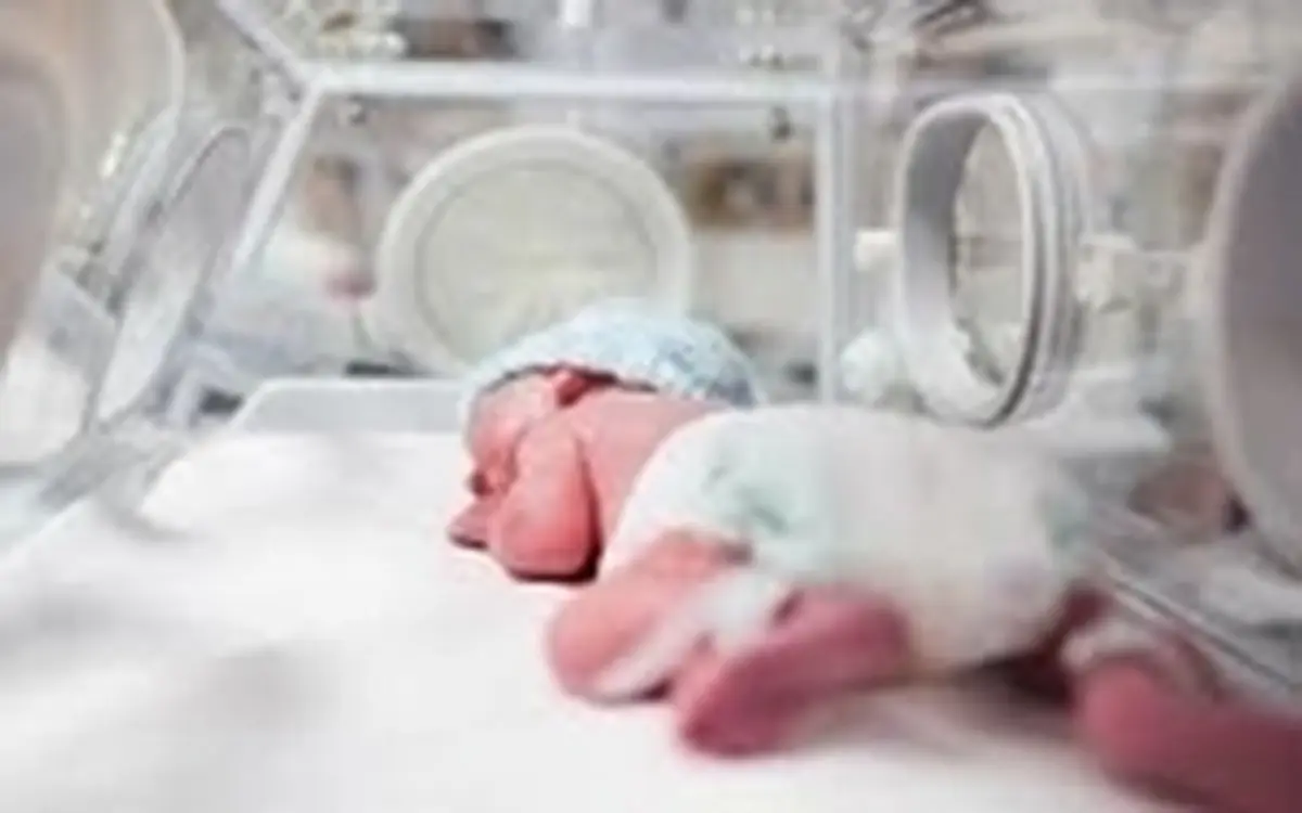 افرایش ۲۴ درصدی فوت و کاهش ۱۰ درصدی ولادت در شهرضا