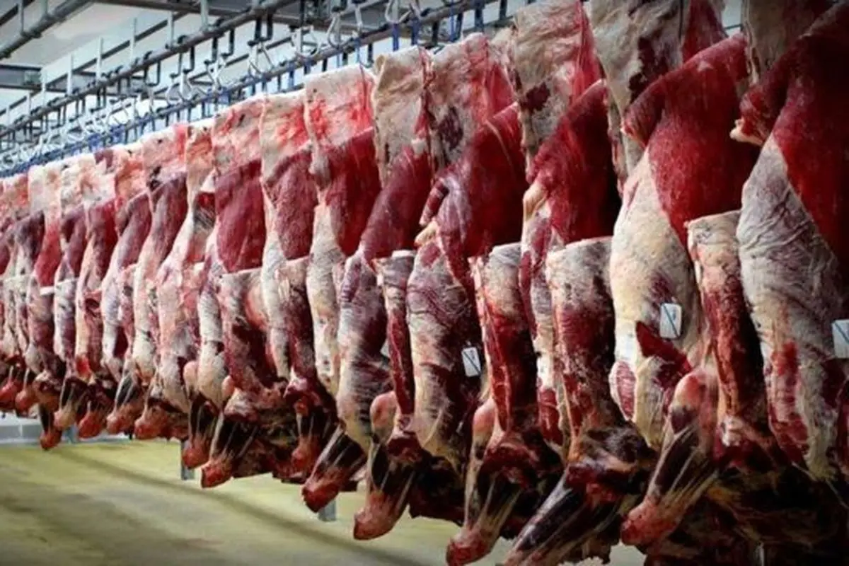 اتحادیه دامداران: قیمت واقعی هر کیلو گوشت گوسفندی ۸۰ هزار تومان است، اما تا ۱۴۰ هزار تومان هم فروخته می‌شود