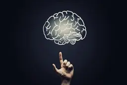 رابطۀ بین تمرکز ذهن و موفقیت