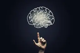 رابطۀ بین تمرکز ذهن و موفقیت