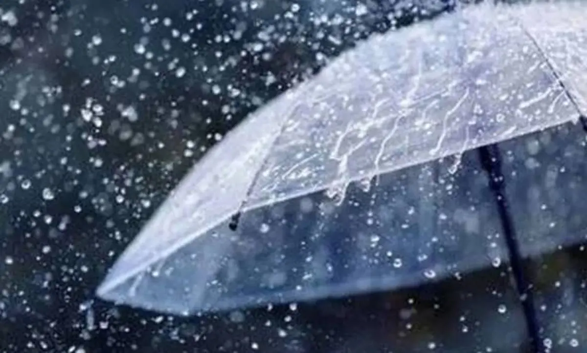 هواشناسی: آغاز بارش‌ها در تهران تا ساعاتی دیگر | هوای تهران برای گروه های حساس ناسالم است + ویدئو