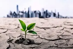 قحطی آب در تابستان سال آینده! | بحران کم آبی در کشور جدی شد