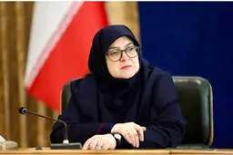 مهاجرانی: درخواست ایران برای نشست با سه کشور اروپایی و ویتکاف در نیویورک رد شد