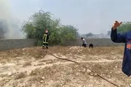 مهارآتش سوزی نخلستان روستای بساتین عسلویه 