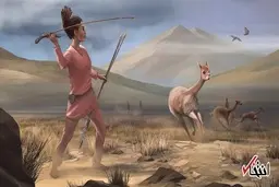
زنان ماقبل تاریخ شکارچی بودند؟
