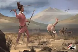 
زنان ماقبل تاریخ شکارچی بودند؟

