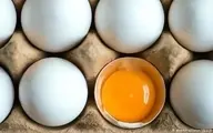 مرغ و تخم مرغ در بازار چند؟ 