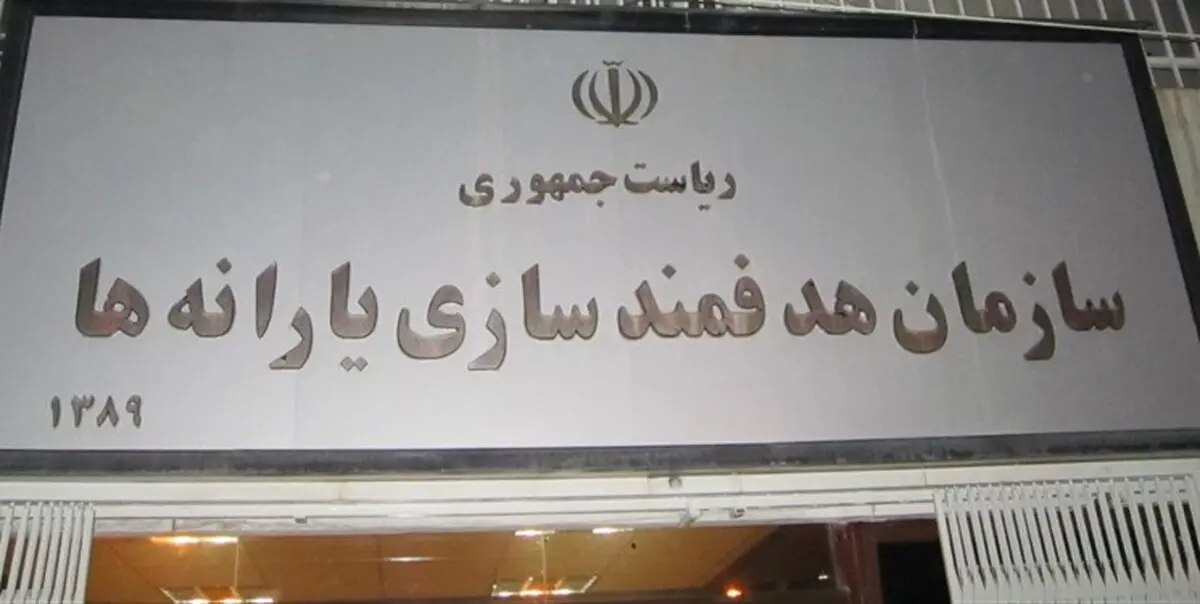 مدیرعامل جدید سازمان هدفمندی منصوب شد