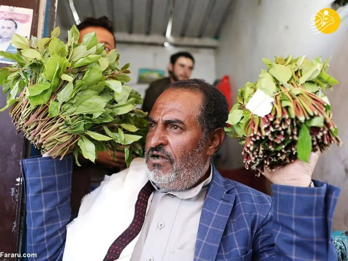 افزایش خرید گیاه مخدر "قات"در یمن در روزهای شیوع کرونا 