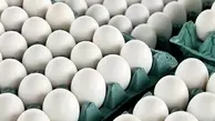 5 دلیل بر لزوم مصرف روزانه تخم مرغ + جزئیات 