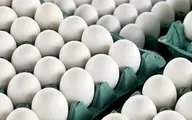 ‌تخم‌مرغ بیش از نیاز کشور تولید شده؛ تخم‌مرغ‌ها روی دست ‎مرغداران ماند 