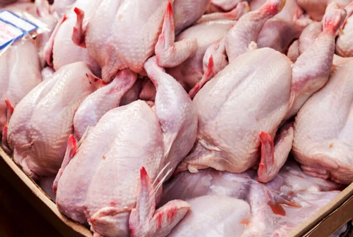 آخرین قیمت مرغ در بازار امروز 27 شهریور | مرغ گرون شد؟ + جدول