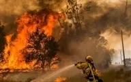 هشدار هواشناسی در زمینه برخورد «رعد‌ و‌ برق » در کهگیلویه و بویراحمد؛ خطر آتش سوزی جنگل‌ها را تهدید می‌کند