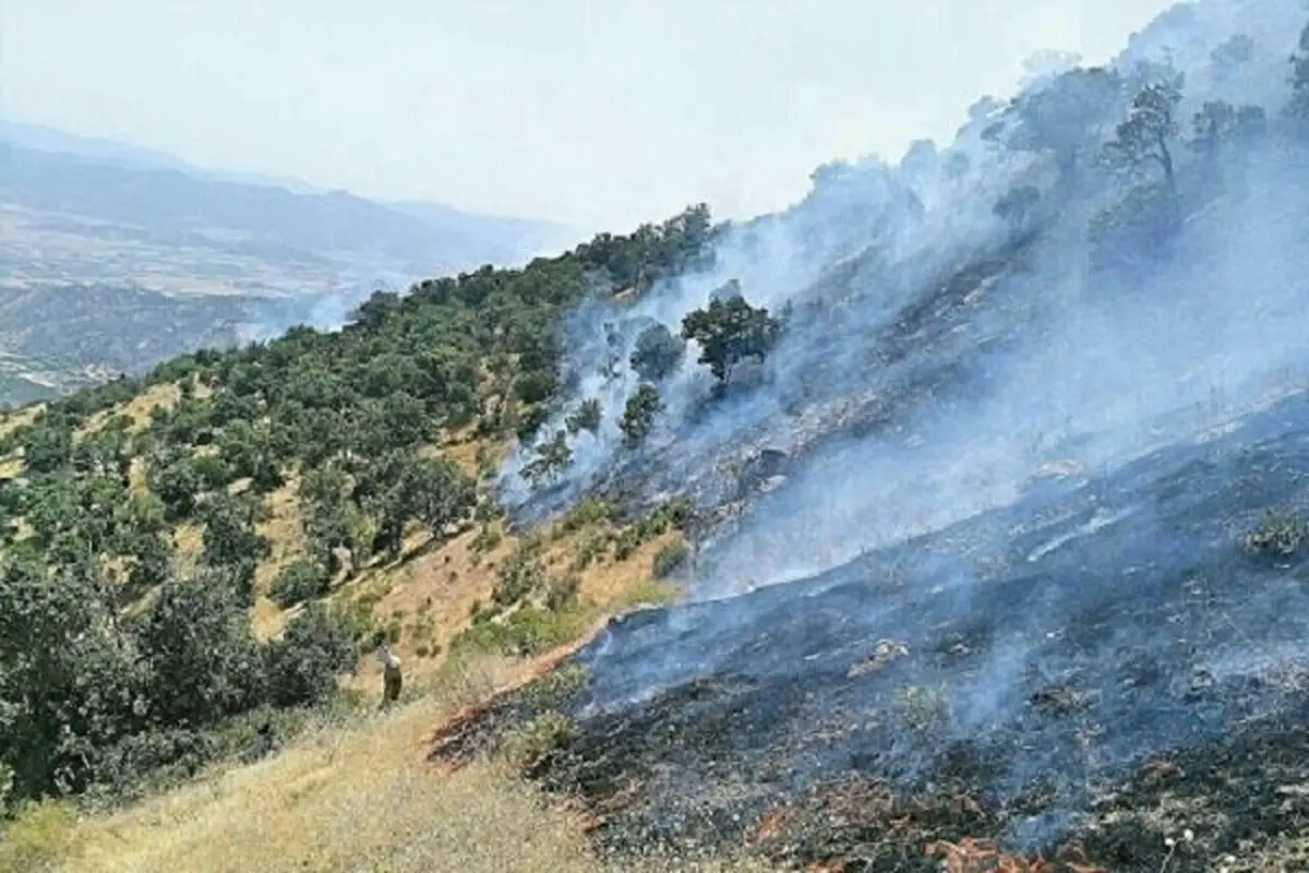 
آتش‌سوزی |  فوت سه نفر در اثر آتش‌سوزی مراتع پاوه
