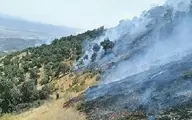 
آتش‌سوزی |  فوت سه نفر در اثر آتش‌سوزی مراتع پاوه
