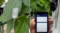 توسعه "ساعت هوشمند" برای گیاهان!