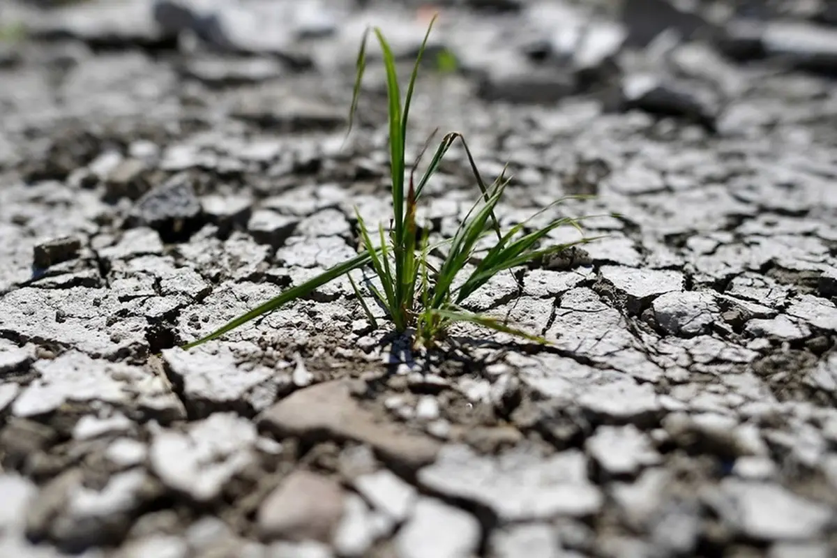 خشکسالی ضرر میلیاردی درآلمان برجای گذاشته است