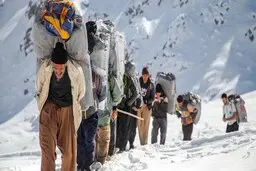 بیش از ۵۰ درصد کولبران مدارک بالای لیسانس دارند