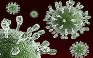 هشدار مهم درباره حمله این ویروس به تهران |  طغیان «روتاویروس» در تهران +جزییات