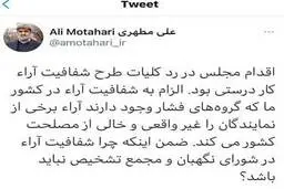 خوشحالی مطهری از عدم رای آوری طرح شفافیت آرا | مطهری از رد طرح شفافیت آرا دفاع کرد