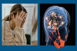 ضربه ای که توهین کلامی به مغز می زند، مانند یک سیلی به صورت است 