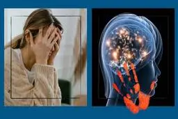 ضربه ای که توهین کلامی به مغز می زند، مانند یک سیلی به صورت است 