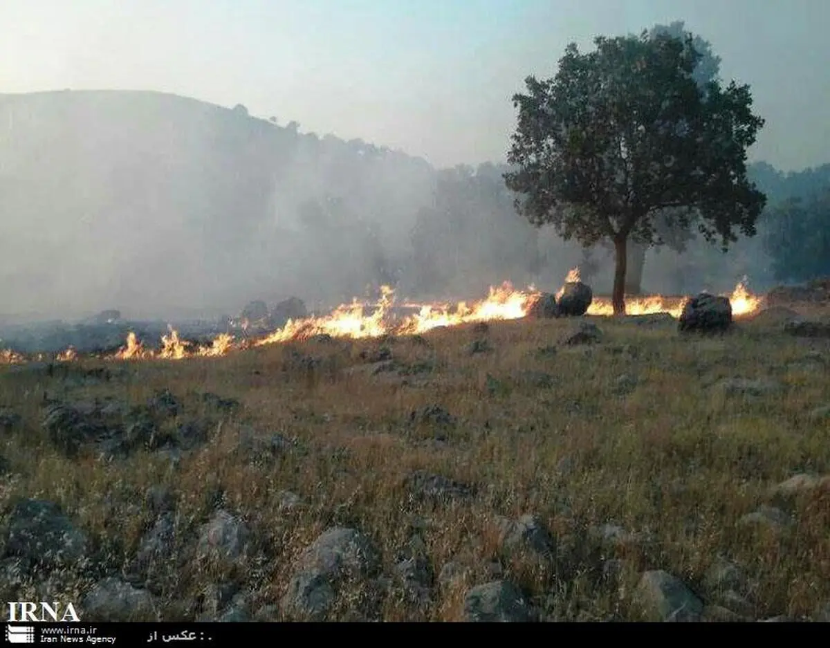 20هکتار از مراتع و جنگل های اندیکا در خوزستان خسارت دید