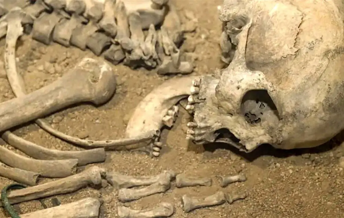 کشف استخوان‌های یک انسان وسط تهران! | کشف استخوان‌های یک انسان در کانال آب میدان فرهنگ تهران+جزئیات