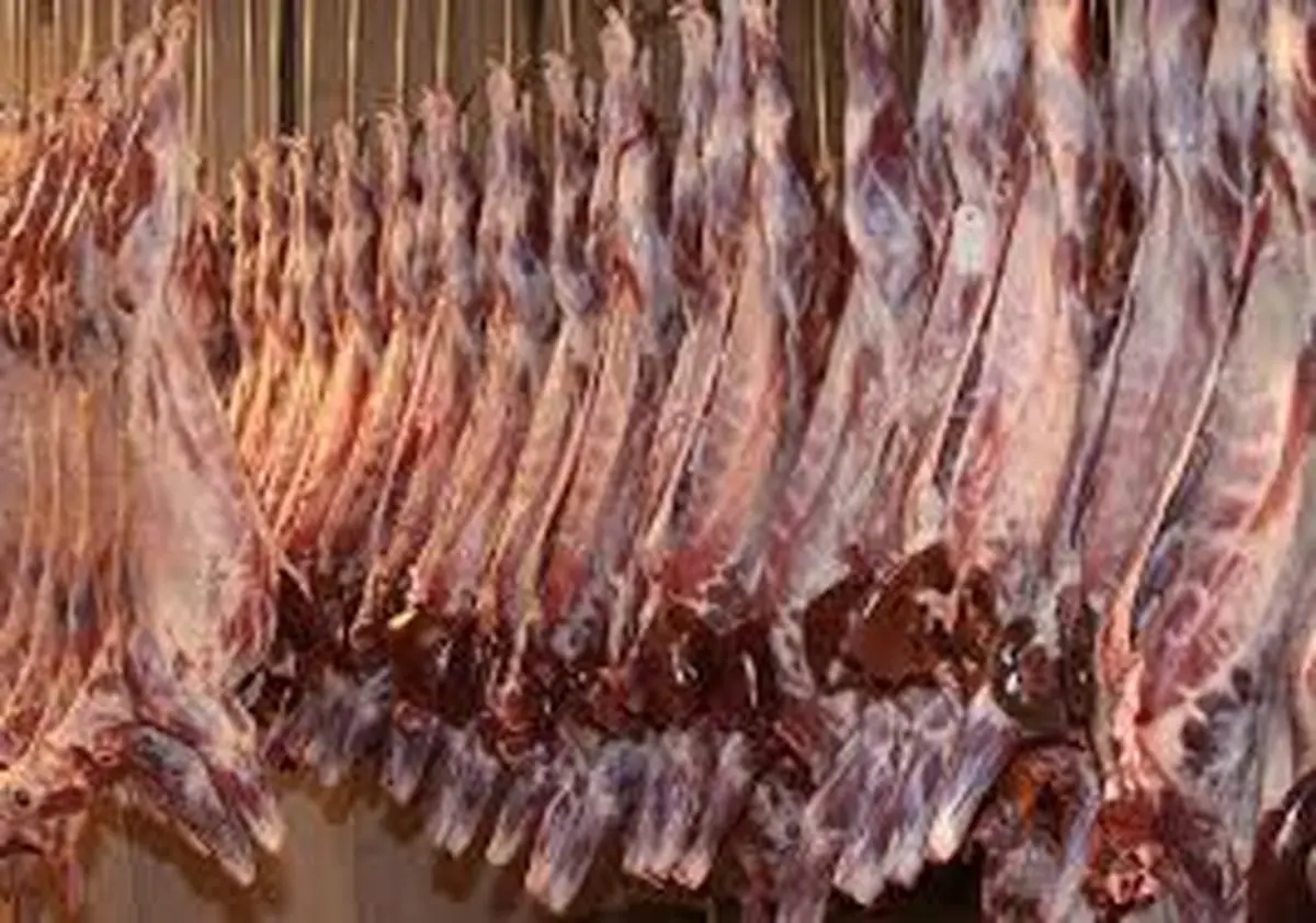دلالان عامل دوبرابر شدن قیمت گوشت