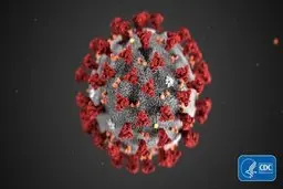 کروناویروسِ جدید، ۹ روز روی سطوح آلوده باقی می‌ماند 