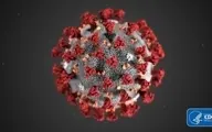 کروناویروسِ جدید، ۹ روز روی سطوح آلوده باقی می‌ماند 