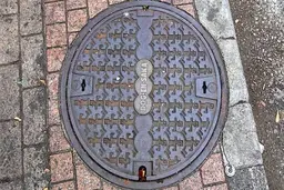 بیرون کشیدن تلفن همراه از کانال فاضلاب + ویدئو