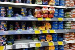 قیمتگذاری تن ماهی آزاد شد | رب گوجه فرنگی هم گران می شود