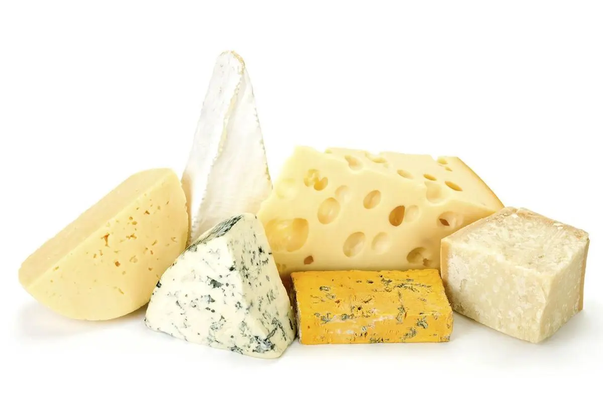 پنیر از قلب شما حفاظت می کند!